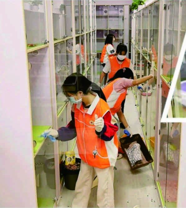 研学营中学生照料猫咪